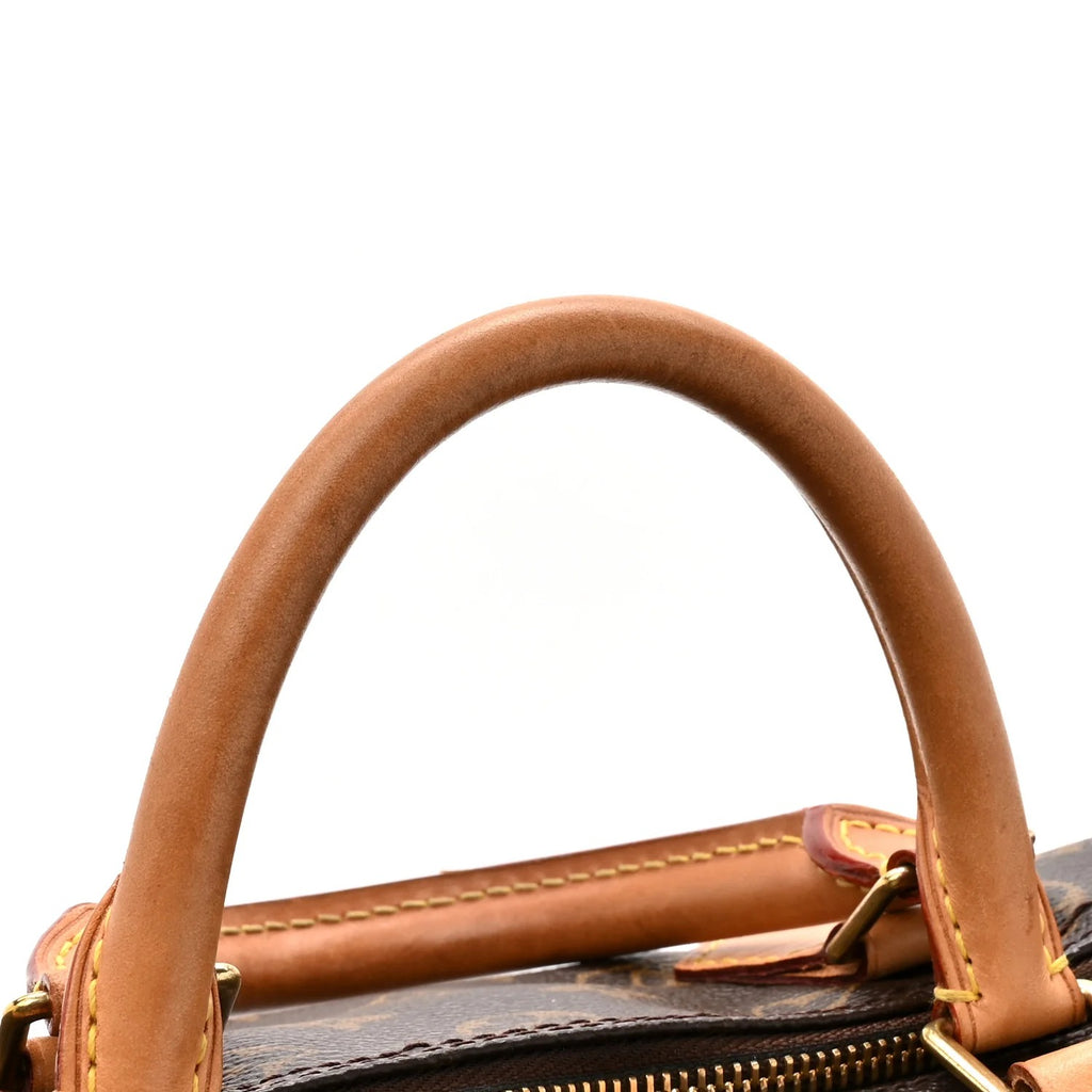 Louis Vuitton Speedy Monogram Canvas 30